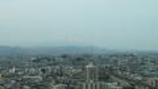 無料で、広くて、眺望抜群。