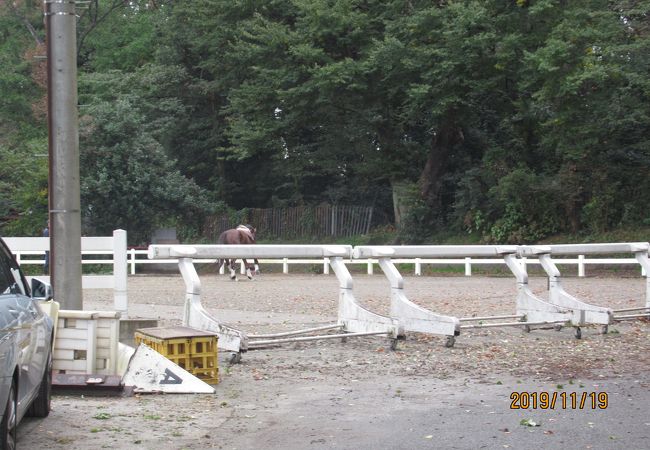 名門の乗馬クラブです