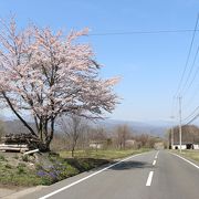 少し殺風景、まだ少し早かったです。