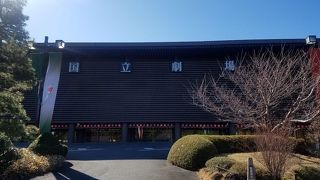 様々な種類の桜を見に訪れるのも良い