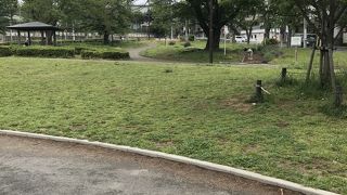 シンボルツリー