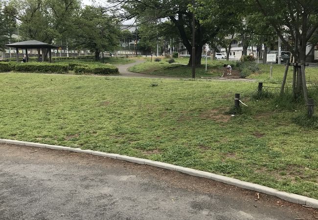 美しが丘公園 クチコミ アクセス 営業時間 港北 長津田 青葉 フォートラベル 美しが丘公園 クチコミ アクセス 営業時間 港北 長津田 青葉 フォートラベル