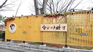 名古屋城に向かいながら