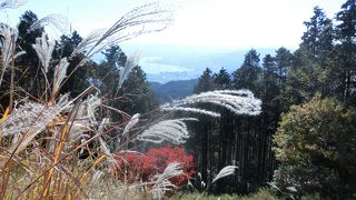 びわこにを遠望、すすきと紅葉、秋の比叡は美しい