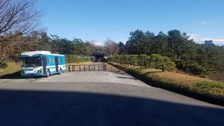 由来は服部半蔵から