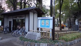 大人も子供も楽しめる大きな公園