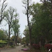 県立行田公園 クチコミ アクセス 営業時間 船橋 習志野 フォートラベル 県立行田公園 クチコミ アクセス 営業時間 船橋 習志野 フォートラベル