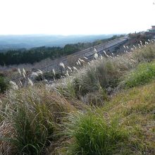 右端に道の駅が見えます。