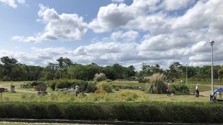 すごく大きな公園