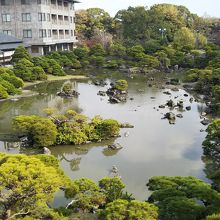 きれいな庭で一見の価値があります
