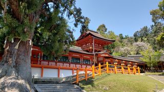 こじんまりしてかわいい