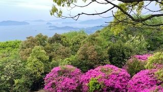 瀬戸内海の島々を見る事が出来る。