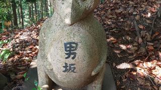 森林浴でリラックス