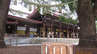 夫婦円満のシンボルツリー