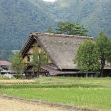 内部を有料公開している和田家