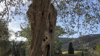 サンタンティモの僧院