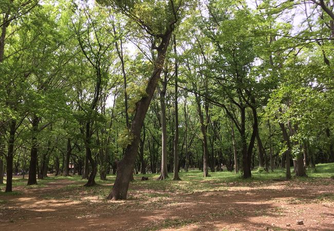 光が丘公園 クチコミ アクセス 営業時間 練馬 フォートラベル 光が丘公園 クチコミ アクセス 営業時間 練馬 フォートラベル
