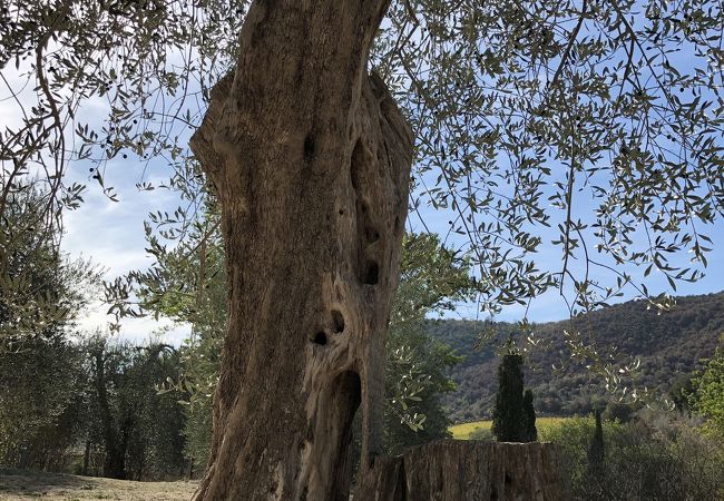 絵になる修道院