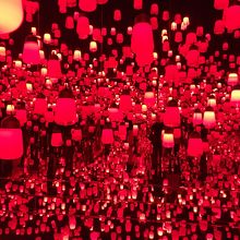 ラプンツェルの世界！