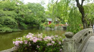 緑溢れる境内。鹿もいる！