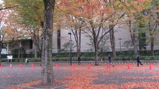 休日のお散歩コース