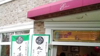 これからどうなる