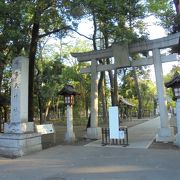 鬼太郎が住んでいるという設定の神社 （布多天神社）