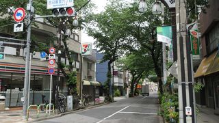 桜並木があります