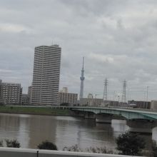 もう少し近くでもよかったかなあ