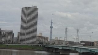 車窓から見ました