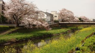 野川緑地公園