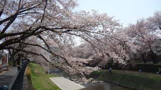 度々出かけます