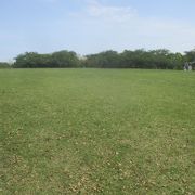 根岸森林公園