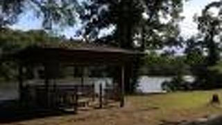 散策できます・・・が足場が。。。