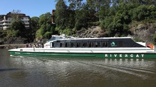 ブルーマウンテンズからの帰り道に