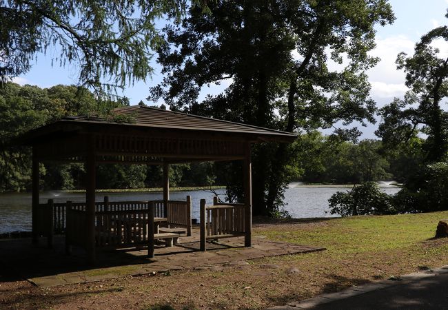 八郎沼公園 クチコミ アクセス 営業時間 七飯 江差 フォートラベル