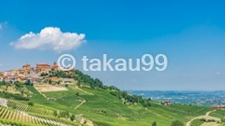 ピエモンテのブドウ園の景観 ： ランゲ ロエロとモンフェッラート