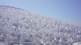 長距離滑走が魅力