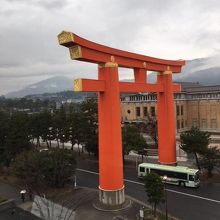 高さ２４メートルは圧巻