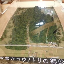 コウノトリ文化館(コウノトリの郷公園 敷地模型)