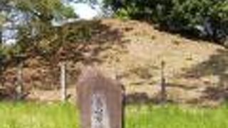 仁徳天皇稜の陪塚のひとつです。