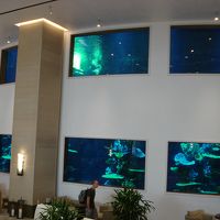 オーシャナトリウムがあります