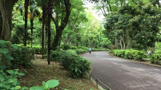 都会のオアシス