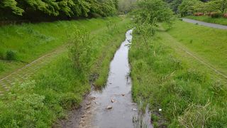 川沿いは整備され散策やジョギングが楽しめる （野川）