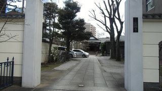 春に見たい１本のしだれ桜