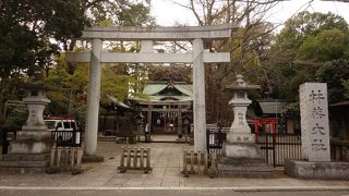 凛とした空気が漂う静かな神社