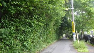 周辺のスポットを巡りながら散策が楽しめる （はけの道）