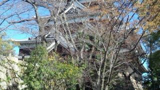 風格があり、象徴的な感じです。