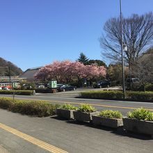 国道1号沿いの風景