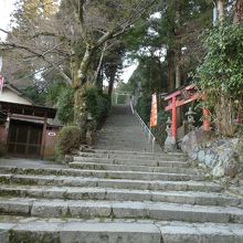 長い階段。その途中です。